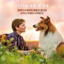 래시