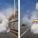 탄방지하차도 이미지