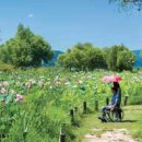 TOUR STORY 무장애 여행 - 꽃과 그림이 있는 강가 - 경기 양평 이미지