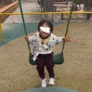 서구-01-61 | 생존일기 03. 흉복부 / 골반 CT 촬영 / 심장초음파 검사 ... 를 빙자한 먹방일기