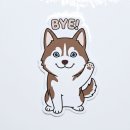 [평택고덕분식] 평택 고덕면 쿡쿡분식 점심 후기! 매콤한 떡볶이와 속이 꽉 찬 진미김밥, 새콤달콤 쫄면...