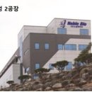 노블글로벌 이미지