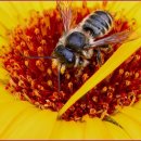 재미있는 공예교실 이미지