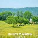 대전광역시 농업기술센타 | 자연과 함께하는 대전 산책 명소! 성심당 밀밭, 노루벌적십자생태원