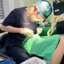 김준영치과의원 | 신정동치과, 효도 임플란트? ‘이것’만 확인하세요.