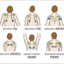 포포구 이미지