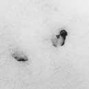 광덕주유소 이미지