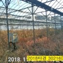 실미들 네이버블로그