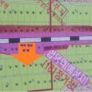 도리2천 이미지