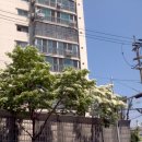 오월의 정원 이미지