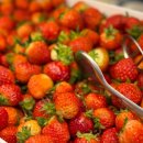 지에스25 양산라피에스타점 | 양산물금맛집 쿠우쿠우 양산점 솔직후기