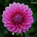 예인요양센터 | 거동 힘드신 부모님 계시다면 양천구추천 요양원 예인방문요양센터 안심할 수 있는 요양원