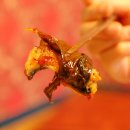 참숯풍천장어 이미지