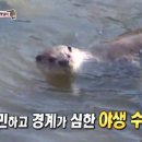 햇님농장 이미지