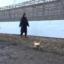 농촌문화체험민박 이미지