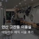데일리수 | [안산] 고잔신도시 데일리수 헤어 매직 시술 후기