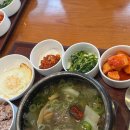 클럽나인브릿지 | 제주 클럽나인브릿지 조식, 석식, 룸서비스 메뉴 및 후기