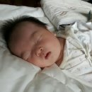 빛이예쁜우리집 이미지