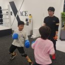 에이스복싱 이미지