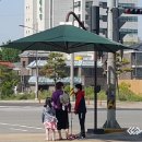 그늘막43 이미지