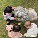 어깨동무유치원 이미지