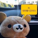 다 향