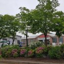 해마루촌60 이미지