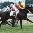 기형목장 이미지