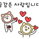 초림수제왕만두 이미지