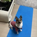 삼육떡방앗간 | 11.30~