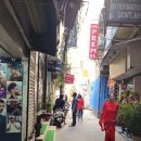 뉴델리 Daum카페