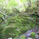 비채야영장 이미지