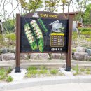 청도신화랑풍류마을(화랑촌) 이미지