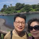 위미동백군락 이미지