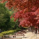 계방산 오토캠핑장 이미지