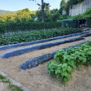 안성농장 이미지