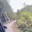 돌 민박 | 삼척 촌캉스 독채 하늘솔 황토민박 산속 힐링(행랑채,솔채 후기)