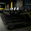 웰니스짐 이미지