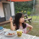 왕곡애견동반펜션 이미지