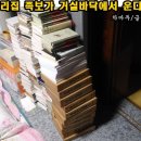 족보삼 이미지
