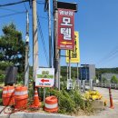 용장리 느티나무 이미지