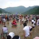평창곤드레축제 Daum카페