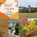 관광시설관리사업소 앞 | 단풍의 막차 탑승🍁 [청남대 가을축제] 다녀온 후기