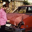 운석농장 이미지