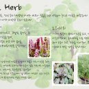 ☆★100201류담은, 101530김은지, 101778박수진 ▶꽃박람회 판넬★☆ 이미지