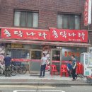 홍탁나라