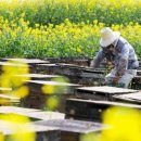 김동석농장 이미지