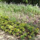 학마을공원 바닥분수 이미지