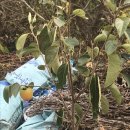 무주추모의집 이미지