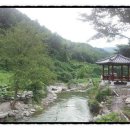 한티천 이미지